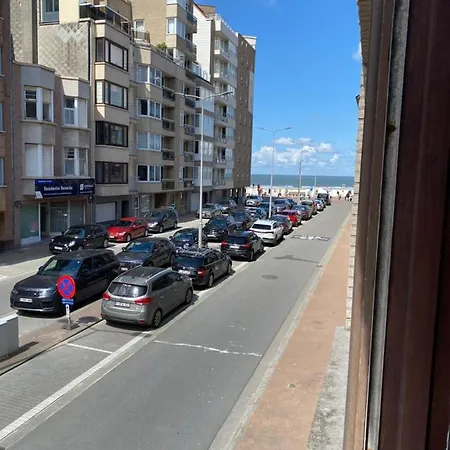 Knokke - Jacaranda *